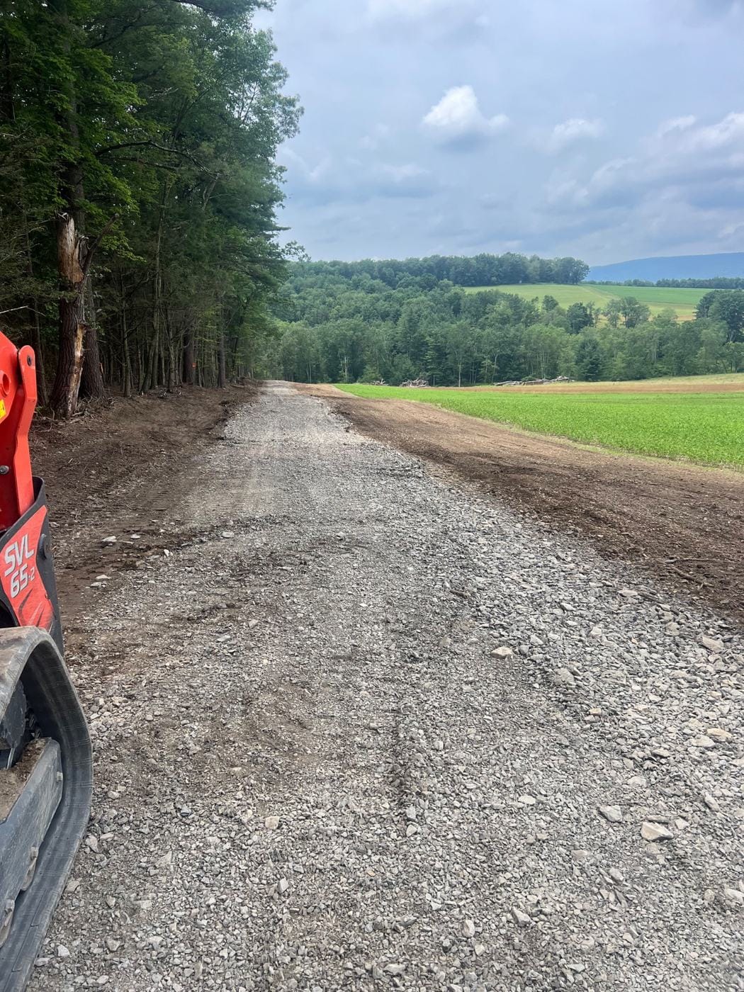 A gravel road cut through the woods.